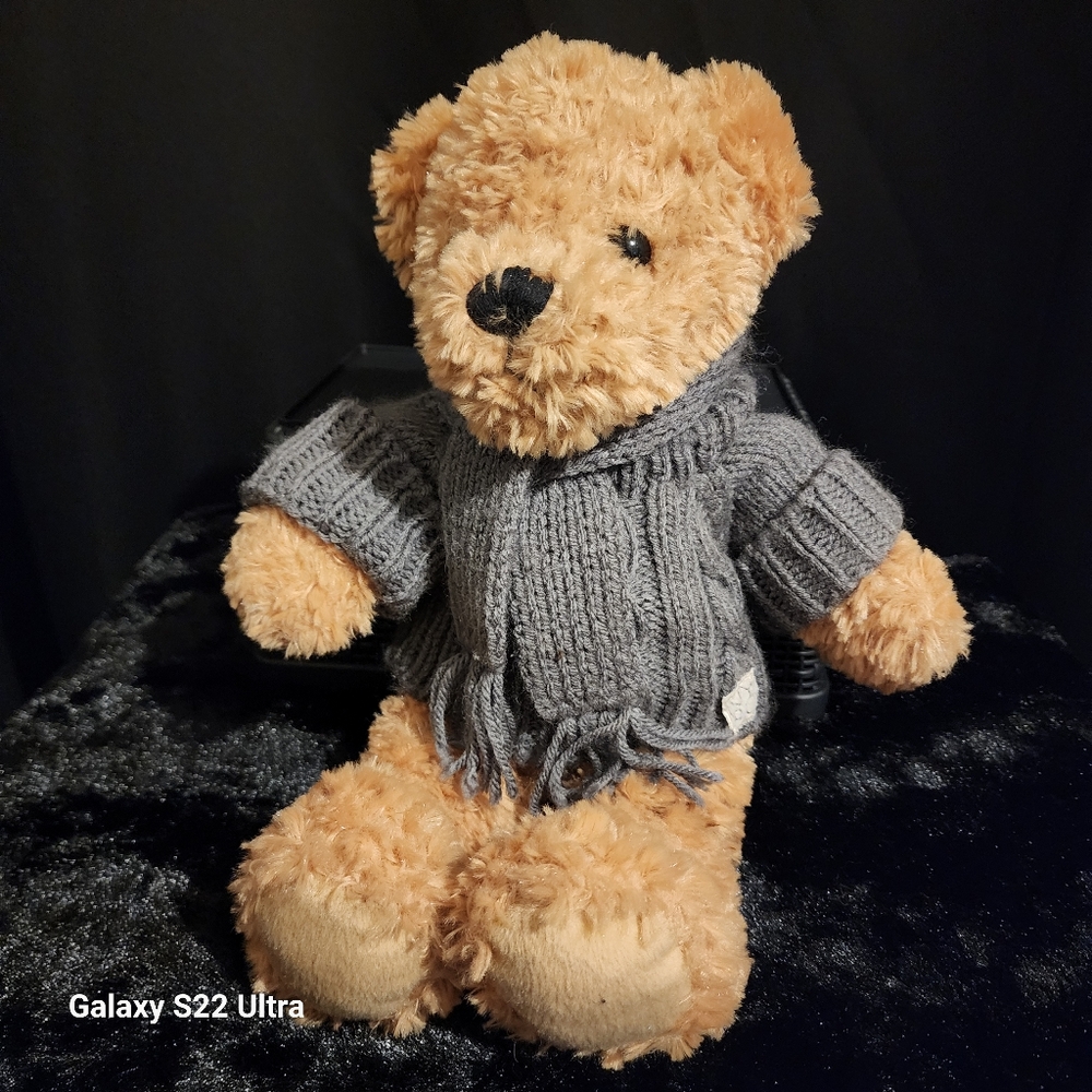 NY&CO Teddy Bear with Sweater and Scarf 16 inch